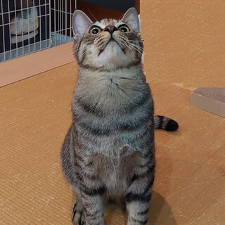 天真爛漫やんちゃっ子