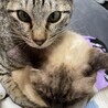 りんごちゃん★