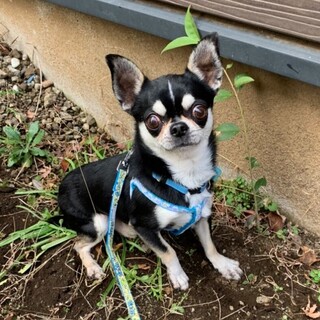 素敵な家族ができました、ありがとうございました♪