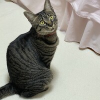 みーちゃん
