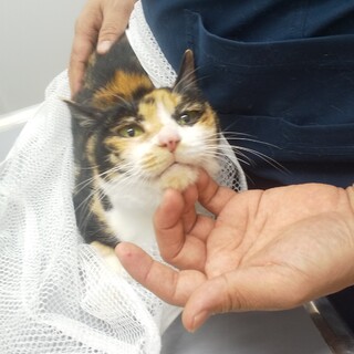 心を開いてくれるのを待ちながら☆人馴れ修行中