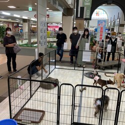 三重県桑名市定例譲渡会（サンシティ星川）