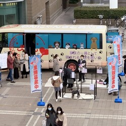わんてらすマルシェバス譲渡会 in やまてらす