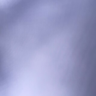 トイプードル ブラウン 女の子