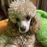 どんな時も尻っぽフリフリでポジティブな女の子♡ サムネイル2