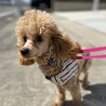どんな時も尻っぽフリフリでポジティブな女の子♡ サムネイル5