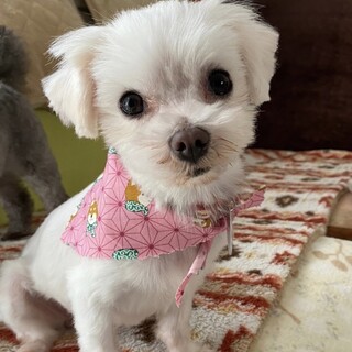 小っちゃいけどパワフルで 甘え上手な女の子♡