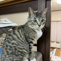 ゆず