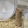 の写真