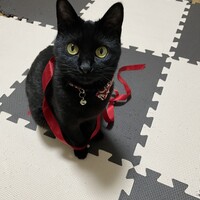 むぅ
