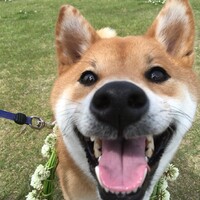 福