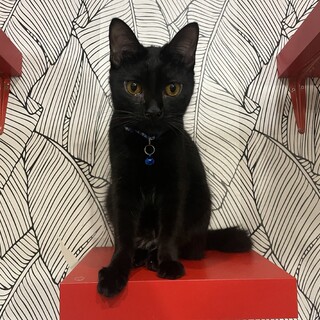 ◉イケメンボーイのぼう君