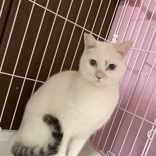 〝キオ君〟です♪