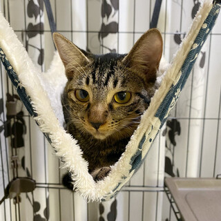 ◉おやつ大好きベビちゃん 