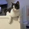 の写真