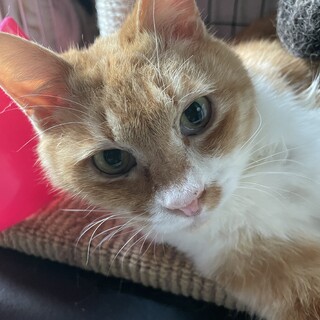 ずっと触ってほしい　スリゴロなつめ