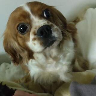 とっても明るい女の子