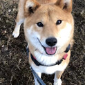 里親さんが決まりました‼️
