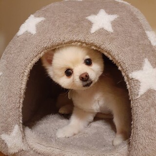 虜になるの間違いなし♡ シャイでおっとり甘えん坊