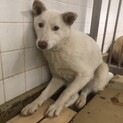 期限は1週間で 5日までです！