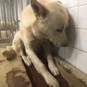収容期限は1週間 5日までです！