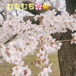 「ペットロス乗り越え中〜」サムネイル2