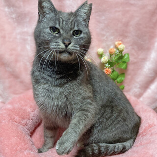 ハンディシニア！１秒だって離れたくない 10歳