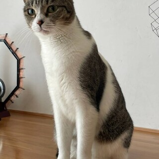 推定1~2歳の女の子