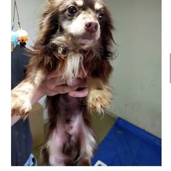 22.04.01 さくらじゃありませんでした