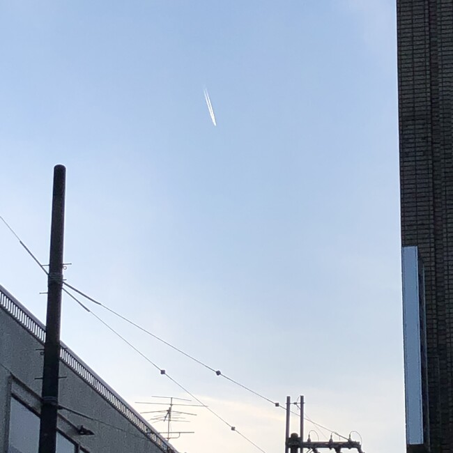 ちーずたらのカバー写真