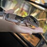 初ハンドリング
