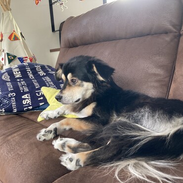 アゴを引いて上目遣い❣️小顔にみえますか