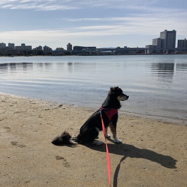 濡れてません❗️