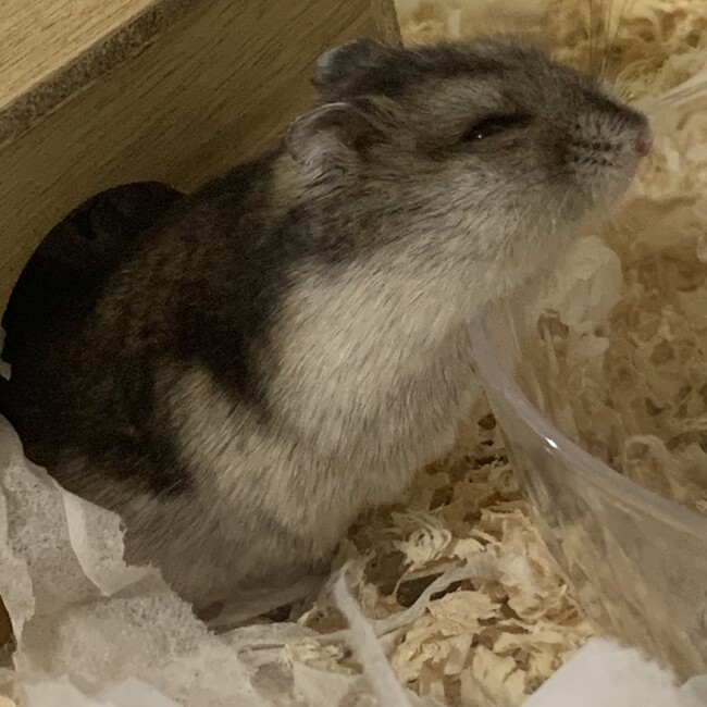 そらみちのカバー写真