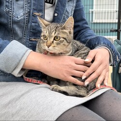 「諦めた3ヶ月後に2度目のご縁。」サムネイル2