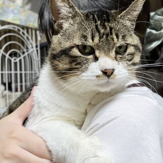 【マッドマックス】おかげさまで里親様が決まりました