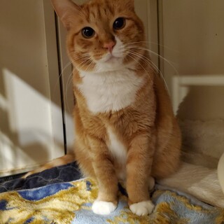 まん丸でキュートなあんちゃん♀️