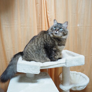 モコモコでおっとり可愛い子！