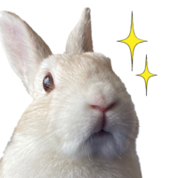 蘭丸