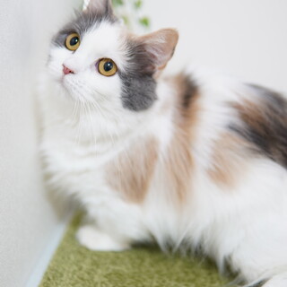 ご応募頂いた皆様ありがとうございましたm(__)m