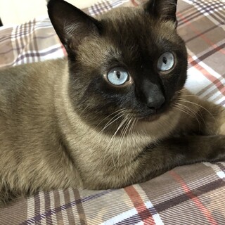 ありがとうございましたm(_ _)m