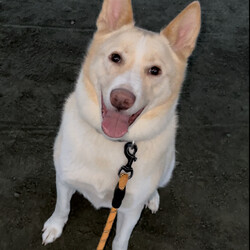 「ご報告」サムネイル2