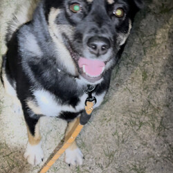 「ご報告」サムネイル3