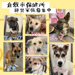 「2022年4月5日の倉敷→全頭譲渡決定！」サムネイル3