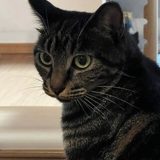 心優しいイケメン♡グリくん