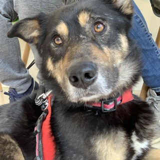 「つよし」男の子