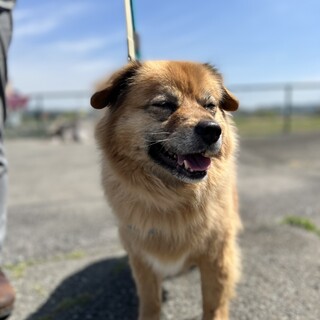 家族に迎えてください