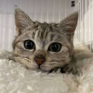 とても甘えんぼうな「らんちゃん」☆