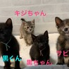 ミルクで育てた甘えん坊☆黒いメスちゃん サムネイル2