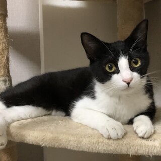 まん丸しっぽのハルキ君